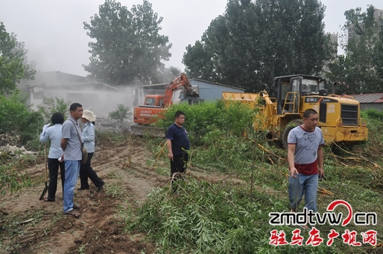 驛城區(qū)橡林街道辦事處對轄區(qū)內(nèi)違章建筑進行依法拆除