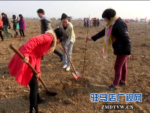 獻(xiàn)禮三八節(jié)，共植巾幗林_20160307091028.JPG