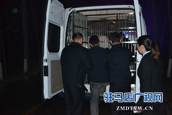 將隱匿在房頂?shù)谋粓?zhí)行人帶上警車.jpg