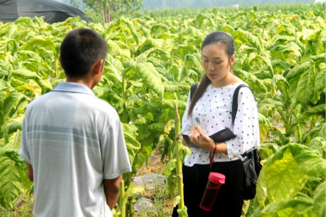 薛桂蕊：扎根基層心系百姓 脫貧攻堅(jiān)爭做先鋒模范