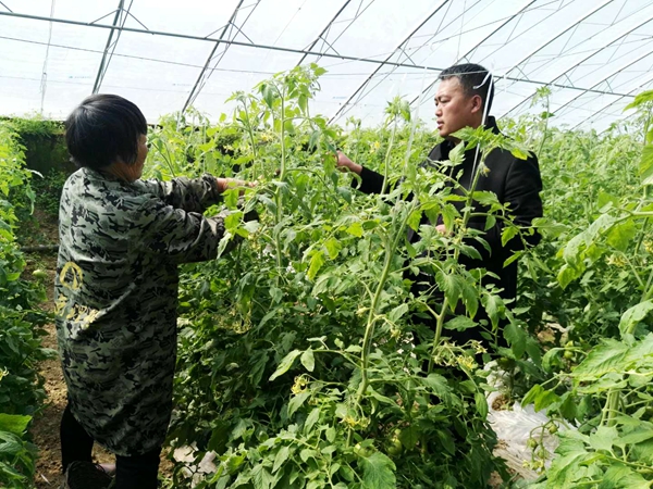 “村官”趙萌：盡我全力 讓魏莊村越來越好