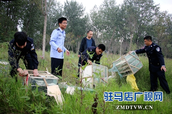 500余只野生鳥類在正陽縣清水灣得以重歸自然