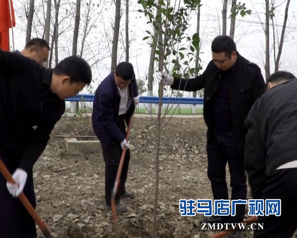 駐馬店各縣區(qū)掀起冬季義務(wù)植樹(shù)熱潮