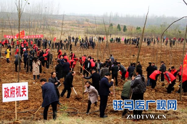 泌陽：全面啟動實(shí)施國土綠化提速行動 