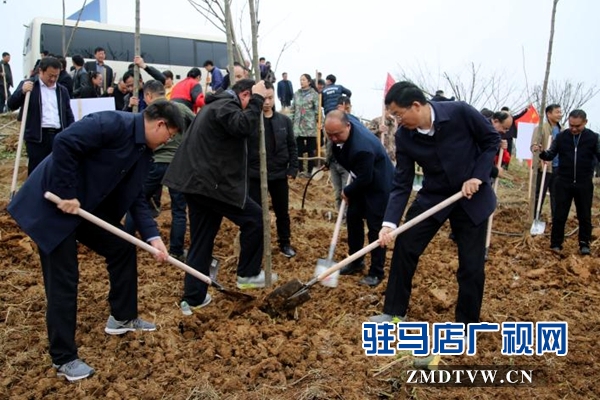 泌陽：全面啟動實(shí)施國土綠化提速行動 