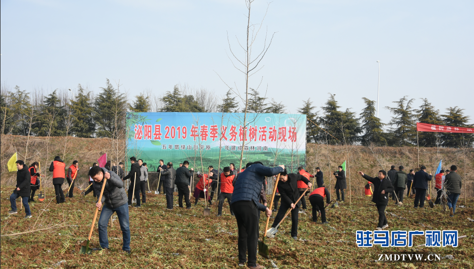 泌陽(yáng)縣2019年春季義務(wù)植樹(shù)活動(dòng)啟動(dòng)