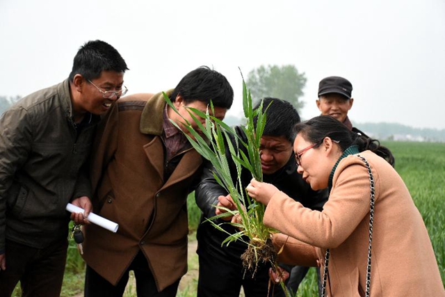 正陽(yáng)：新型職業(yè)農(nóng)民培訓(xùn)跟蹤問(wèn)效到田頭