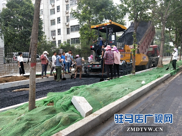 駿馬路北段路面開始攤鋪瀝青