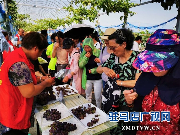 武漢旅游專列800余人赴平輿縣藍(lán)天芝麻小鎮(zhèn)觀光旅游開(kāi)啟藍(lán)天芝麻小鎮(zhèn)“旅游元年”