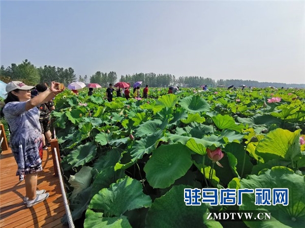 武漢旅游專列800余人赴平輿縣藍(lán)天芝麻小鎮(zhèn)觀光旅游開(kāi)啟藍(lán)天芝麻小鎮(zhèn)“旅游元年”