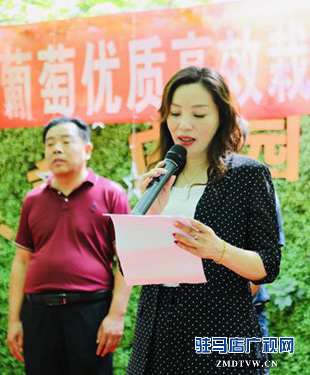 葡萄熟了！駐馬店杰美葡萄莊園盛大開園