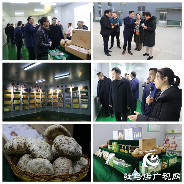 駐馬店市食品工業(yè)協(xié)會30余名會員企業(yè)家深入確山縣、泌陽縣6家會員企業(yè)觀摩走訪