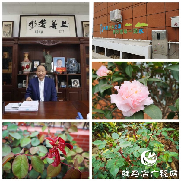 駐馬店大海商砼花園工廠——既要金山銀山，又要綠水青山