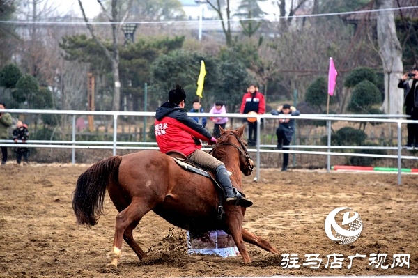 角子山下馬場里體驗策馬奔騰的激情