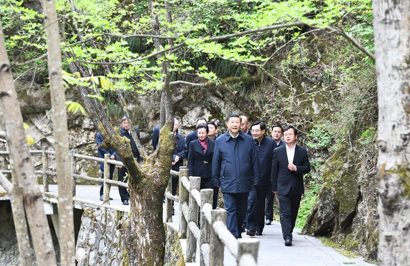 習(xí)近平在陜西考察秦嶺生態(tài)保護(hù)情況