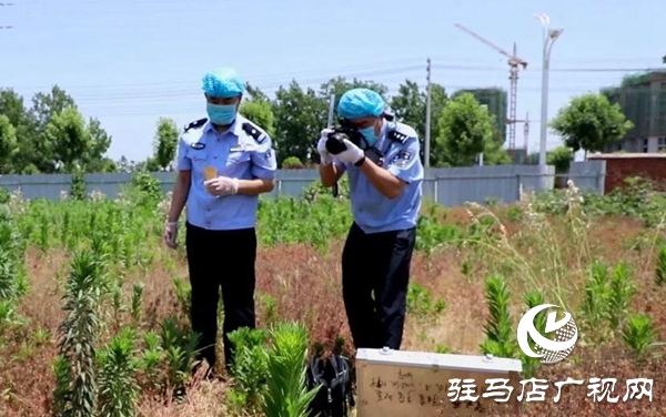 五一勞動節(jié):向堅守崗位的勞動者致敬,你們忙碌的身影最美麗！