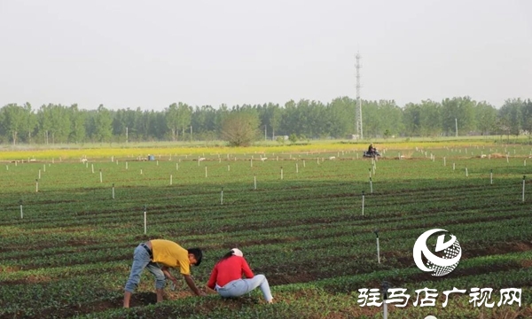 五一勞動節(jié):向堅守崗位的勞動者致敬,你們忙碌的身影最美麗！