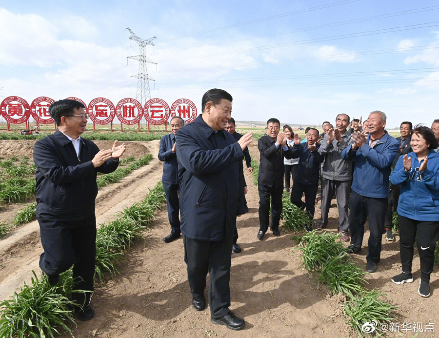 習近平：讓黃花成為群眾脫貧致富的“搖錢草”