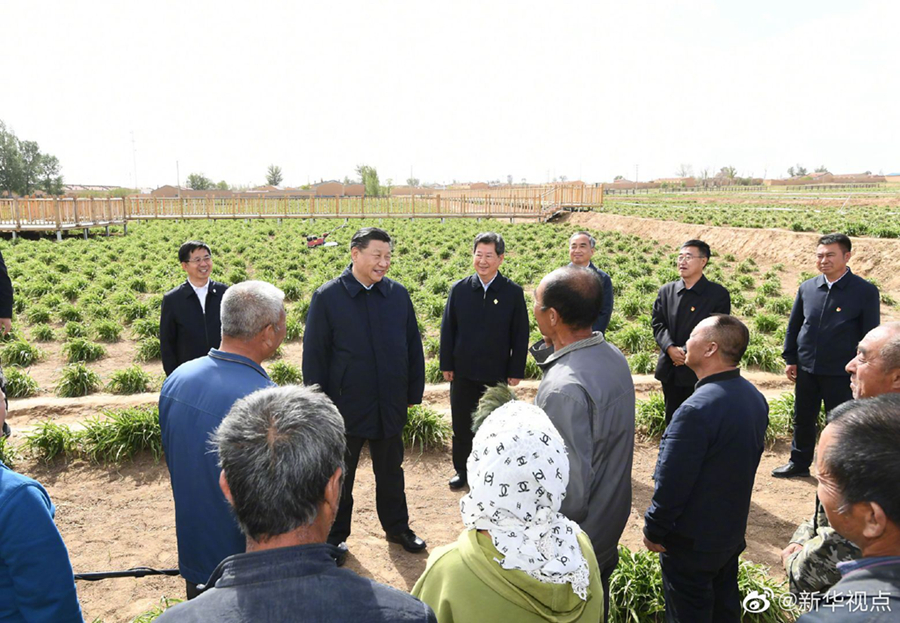 習近平：讓黃花成為群眾脫貧致富的“搖錢草”