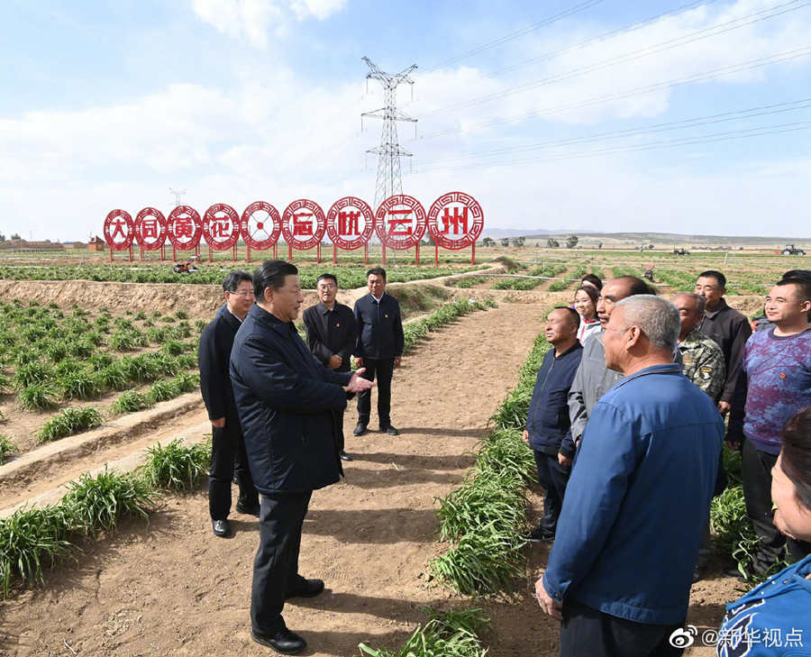 習近平：讓黃花成為群眾脫貧致富的“搖錢草”