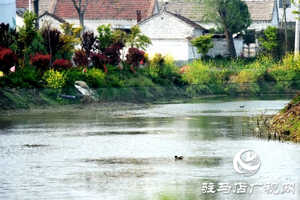 汝南縣王崗鎮(zhèn)朱莊村：這里和城里沒兩樣 