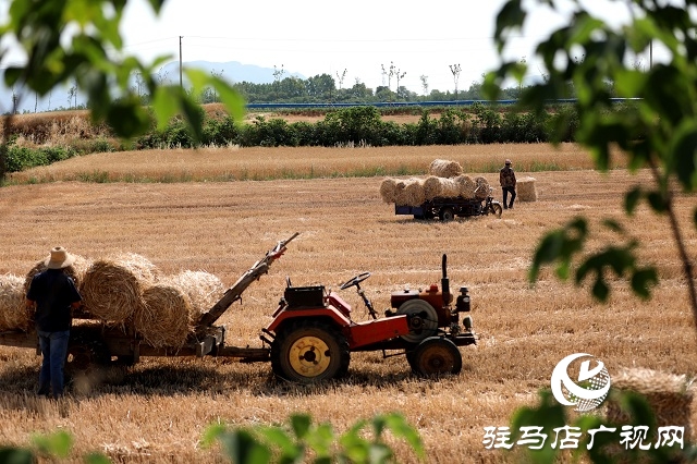 駐馬店驛城區(qū)：推進(jìn)秸稈回收變廢為寶