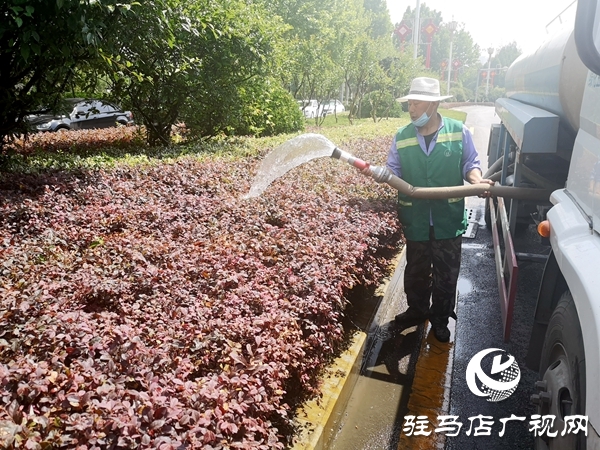 市園林綠化中心出動十余輛水車為綠化帶“消暑解渴”