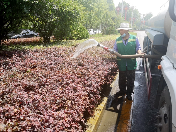 市園林綠化中心出動十余輛水車為綠化帶“消暑解渴”