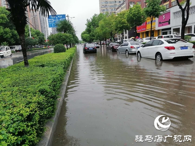 遇到積水路面如何開車？