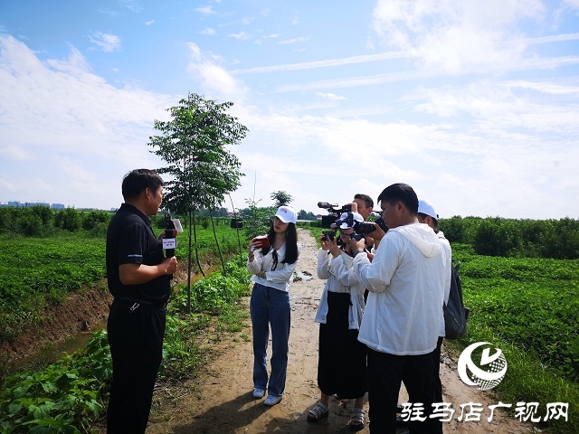 “全面小康·一個都不能少”網絡主題宣傳活動走進駐馬店