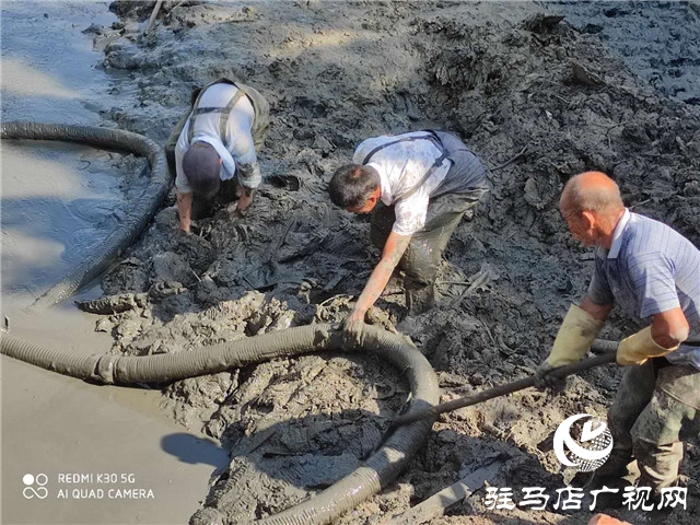 南海公園南海湖清淤改造如火如荼