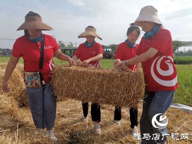 黃淮學(xué)院藝術(shù)設(shè)計(jì)學(xué)院:在鄉(xiāng)村振興的大地上唱響青春之歌