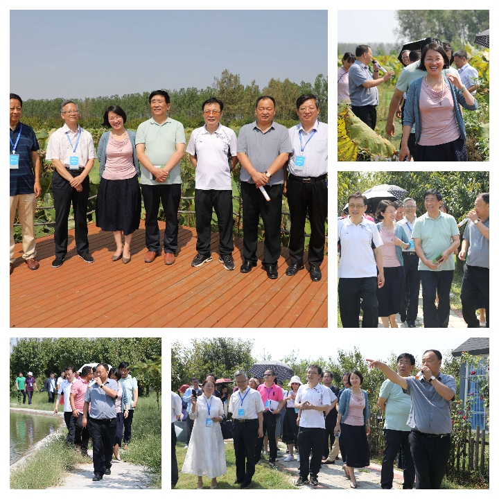 河南省雜文名家“聚焦平輿白芝麻產業(yè)發(fā)展”采風活動啟動暨藍天芝麻小鎮(zhèn)采風基地揭牌儀式舉行