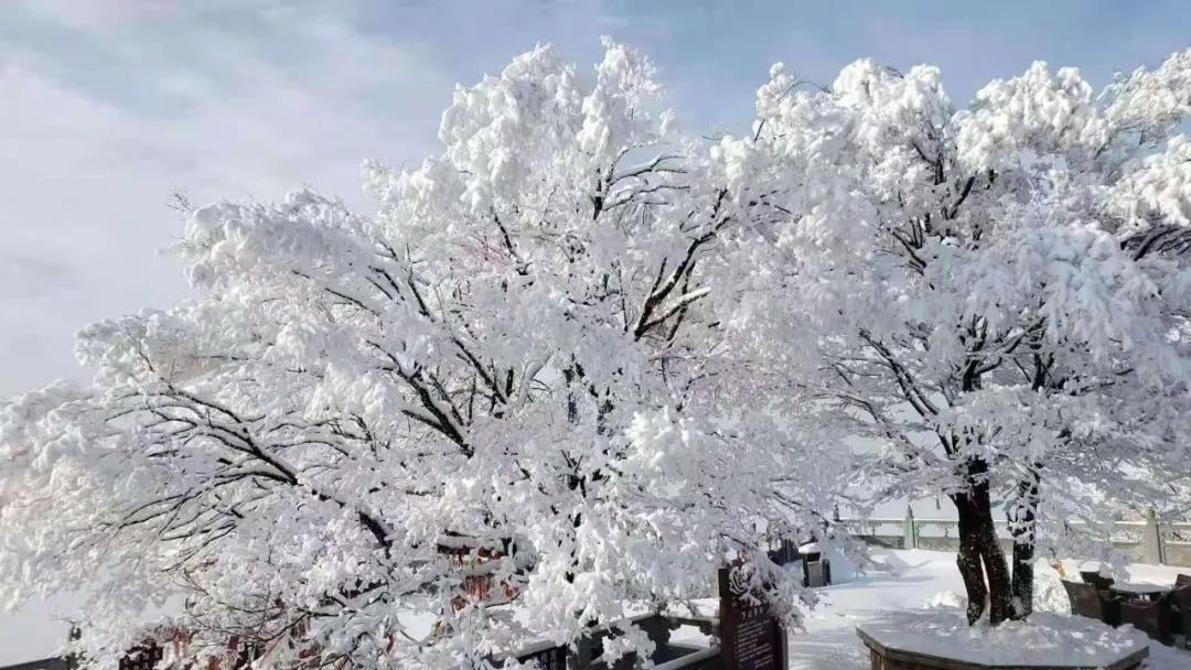 “老家河南 豫來粵好”河南省冬季文化旅游產(chǎn)品推介會(huì)在廣州舉辦