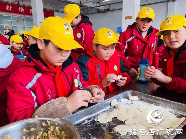 駐馬店市第十小學(xué)開展“傳承紅色基因、做時代好少年”實踐活動