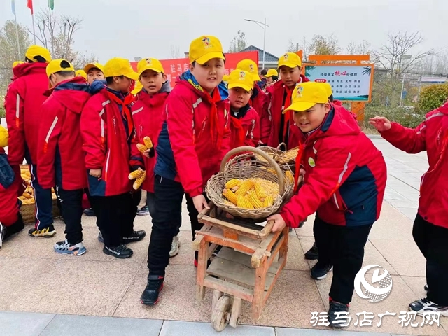 駐馬店市第十小學(xué)開展“傳承紅色基因、做時代好少年”實踐活動