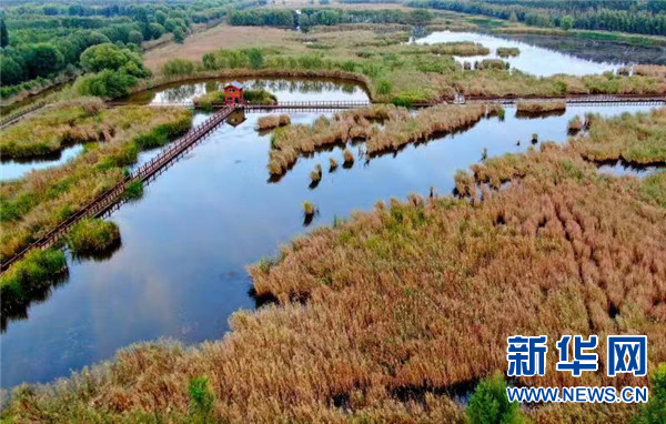 “生態(tài)黃河”重現(xiàn)中原