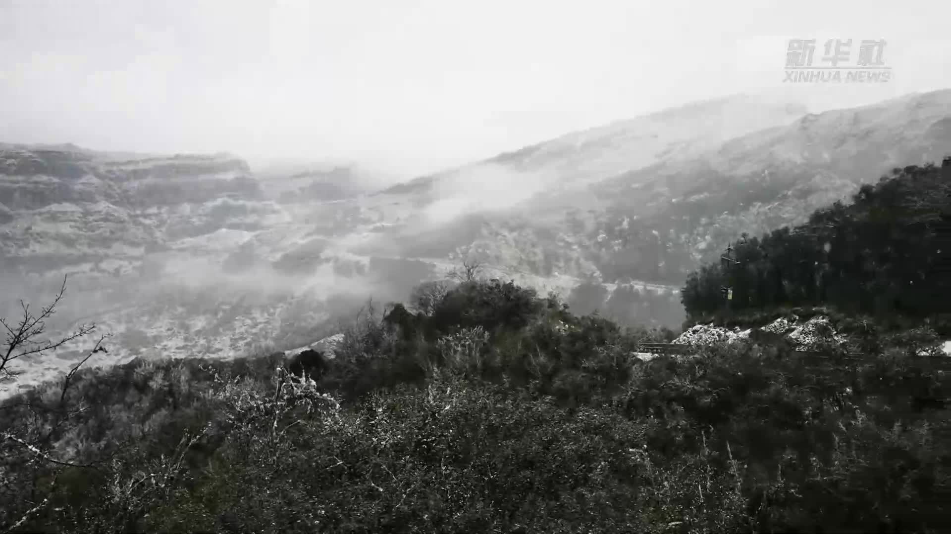 南國山雪 別樣“凍”景