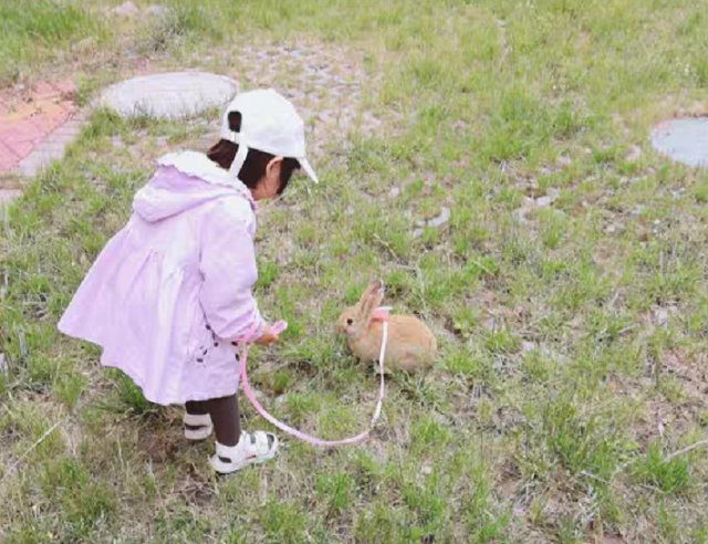 今年春節(jié)親子游都去的打卡地！門票免費送！