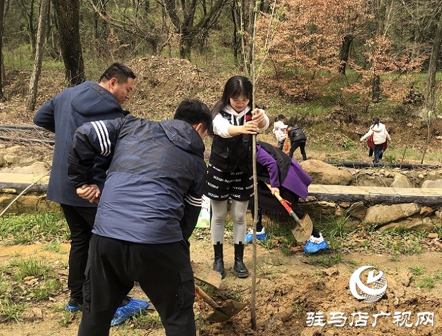 春分植樹(shù)添新綠 車(chē)友齊心美家園