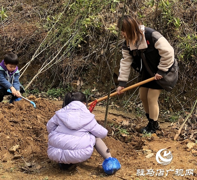 春分植樹(shù)添新綠 車(chē)友齊心美家園