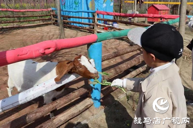 蘋果樹幼兒園赴世外桃源教育農(nóng)場(chǎng)開展春季游學(xué)