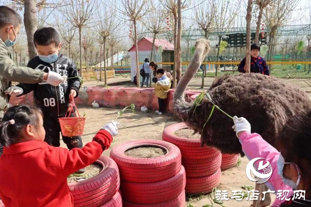 蘋果樹幼兒園赴世外桃源教育農(nóng)場(chǎng)開展春季游學(xué)