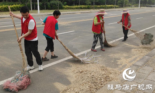 西平：志愿者服務(wù)隊深入田間地塊助力“三夏”生產(chǎn)暖民心