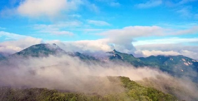 “市”外有桃園，宜陽花果山，遛娃首選點(diǎn)