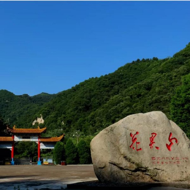 “市”外有桃園，宜陽花果山，遛娃首選點