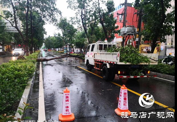 風(fēng)雨刮倒樹(shù)木成隱患 園林工人忙清理還道路暢通