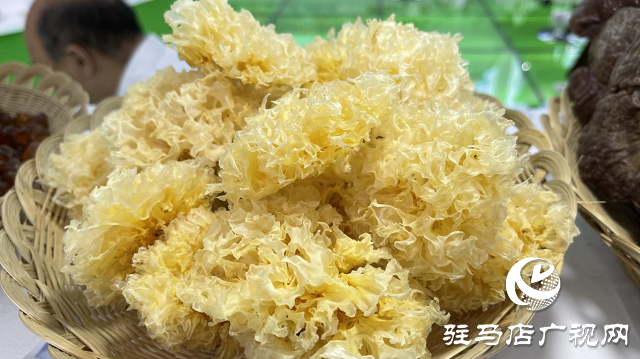 記者探會(huì)｜部長(zhǎng)看的花菇是她種植的