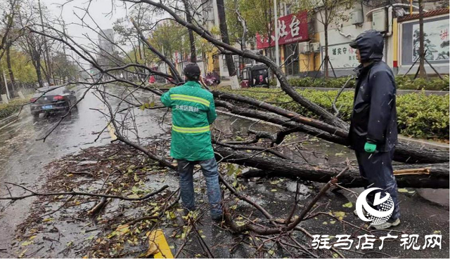 駐馬店市12345政務(wù)熱線快速響應(yīng) 及時處置市民訴求