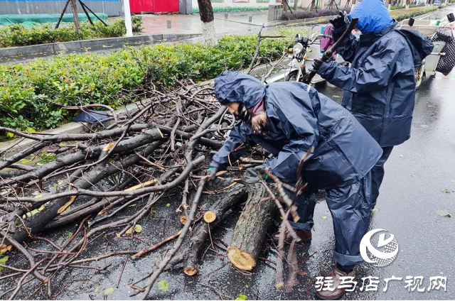 駐馬店市12345政務(wù)熱線快速響應(yīng) 及時處置市民訴求